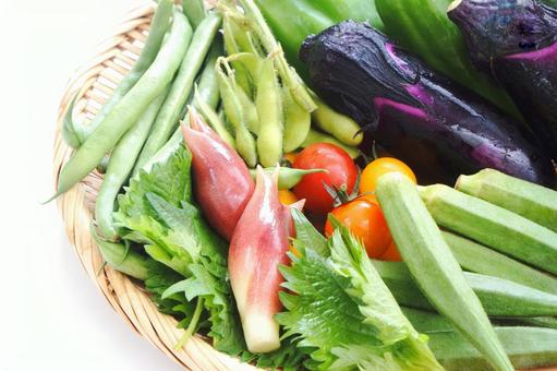 夏野菜 夏野菜 夏野菜,野菜,食材の写真素材