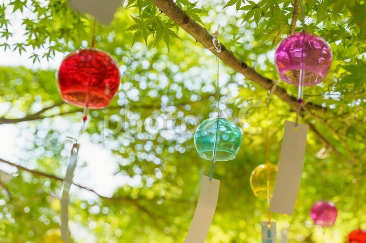 風鈴　夏の風物詩2 風鈴,夏,夏祭りの写真素材