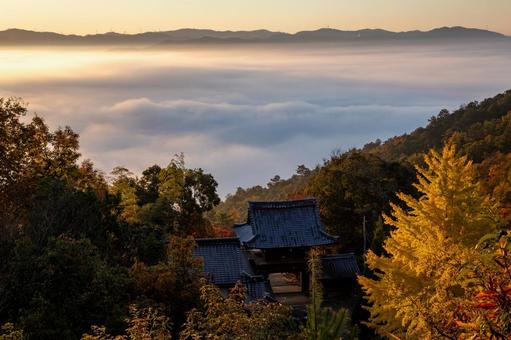 雲海 雲海,風景,朝の写真素材