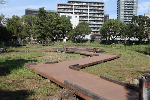 江東区　横十間川親水公園 江東区,横十間川親水公園,公園の写真素材