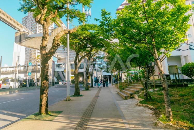 【沖縄】那覇市の街並み 沖縄,おもろまち,那覇市の写真素材
