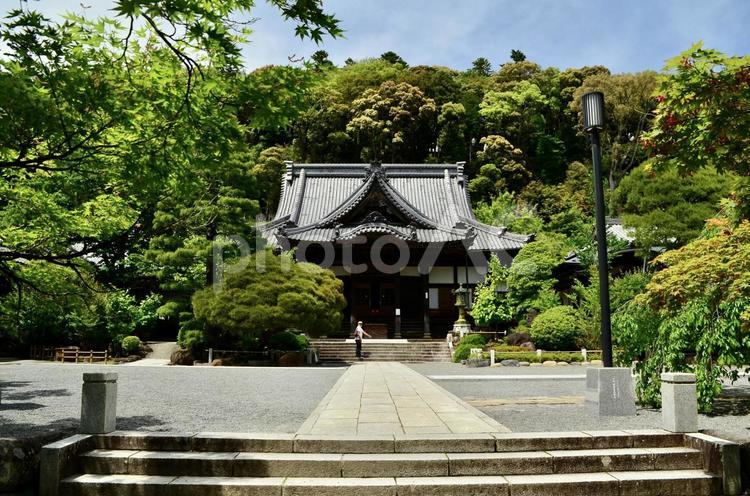 修善寺 参拝 修善寺,静岡,伊豆の写真素材