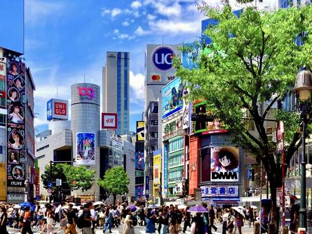 緑映え 人足早な交差点 緑映え 人足早な交差点 shibuya,clossing,街並みの写真素材