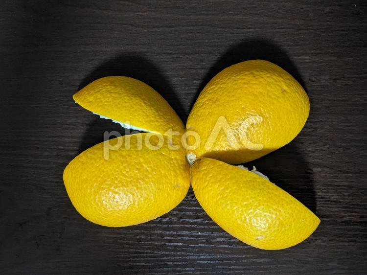 果実の皮 果実,柑橘類,くだものの写真素材