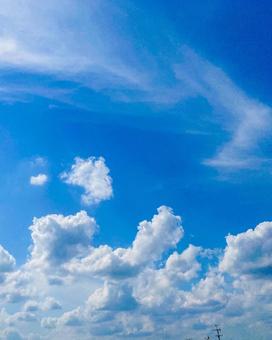 青空 青空の写真