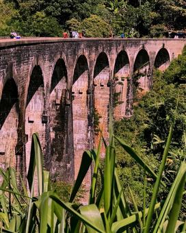 スリランカ　ナインアーチブリッジその3 ナインアーチブリッジ,アーチ橋,レンガの写真素材