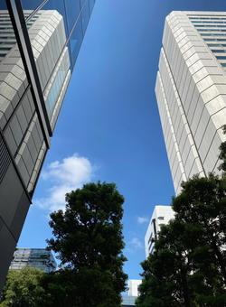 都心の高層ビル群から青空を望む 都心の高層ビル群から青空を望む ビル,ビル街,街の写真素材