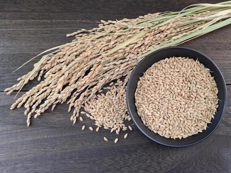 稲穂と籾_焦茶木目バック_7 秋,秋の味覚,米の写真素材