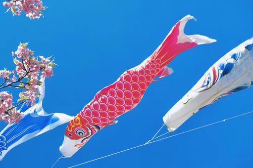 鯉魚旗兒童節圖片, JPG 鯉魚旗兒童節圖片, 鯉魚旗, 碧落, 櫻花, JPG