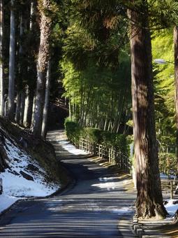 残雪残る奥の細道 残雪残る奥の細道 竹林,奥の細道,残雪の写真素材