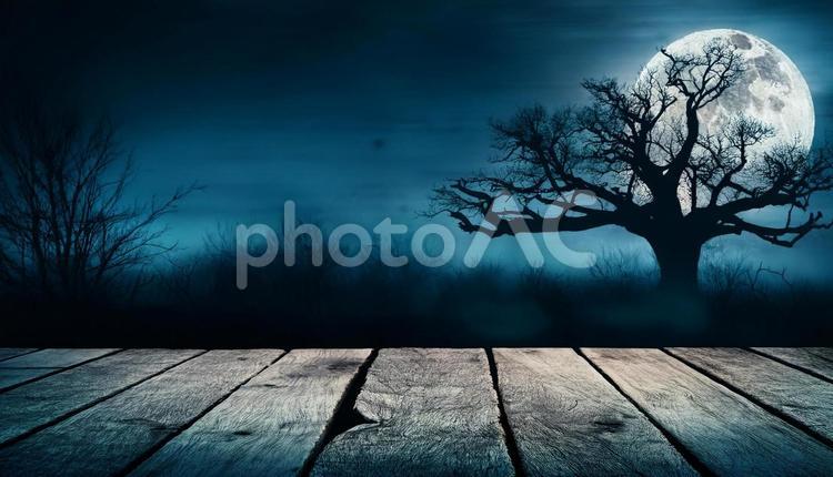 板と枯れ木と月、ハロウィン ハロウィン,満月,月の写真素材