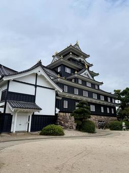 岡山城 岡山城 岡山城,岡山,城の写真素材