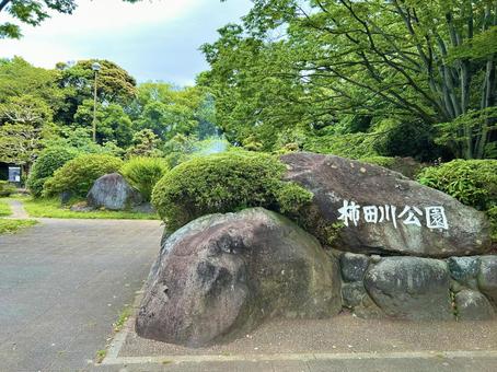 柿田川公園 柿田川公園の写真
