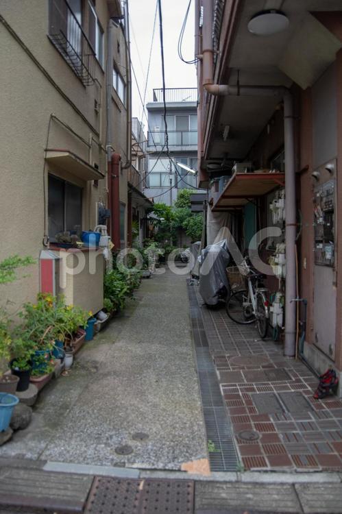 東京の田舎 東京,田舎,脇道の写真素材