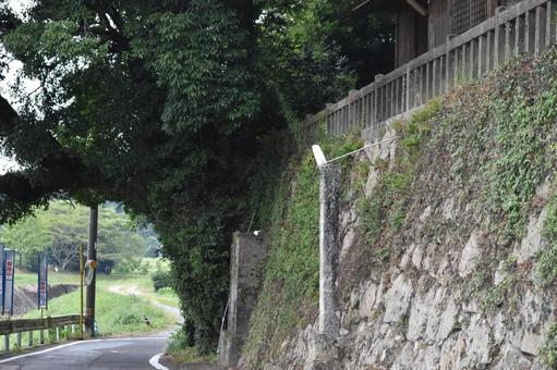 Photo, a shrine, japan, summer, 