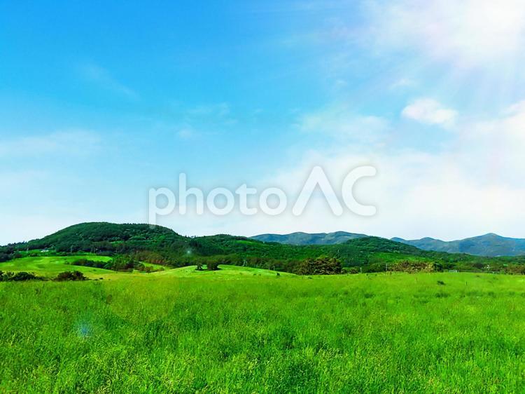 虹色の太陽光線と草原の背景素材 虹,虹色,草原の写真素材