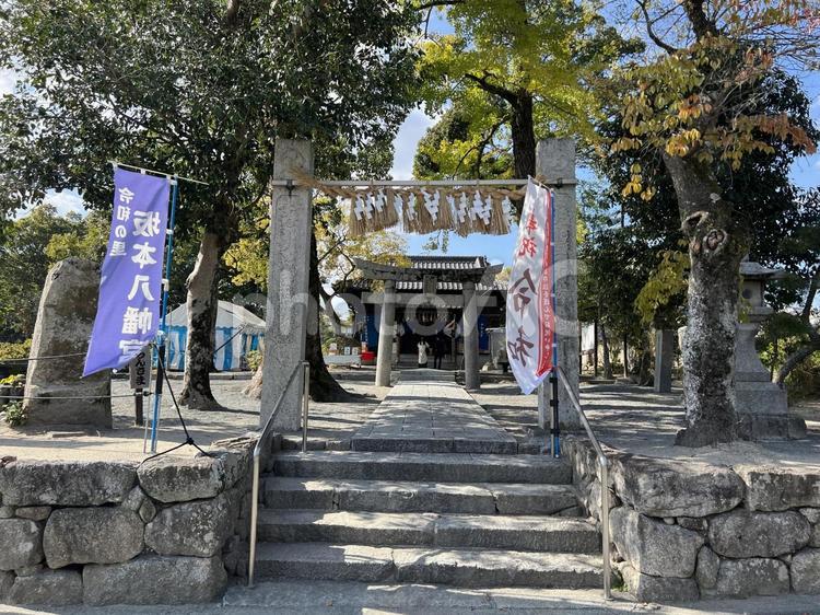 令和の里　坂本八幡宮 神社,鳥居,令和神社の写真素材