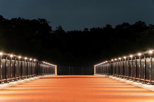 夜のりんかいひなた橋 夜のりんかいひなた橋 橋,ライトアップ,ライトの写真素材