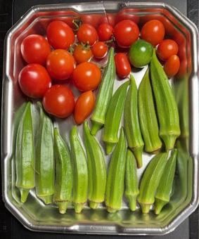 R7.10.13野菜の収穫オクラとトマト R7.10.13野菜の収穫オクラとトマトの写真