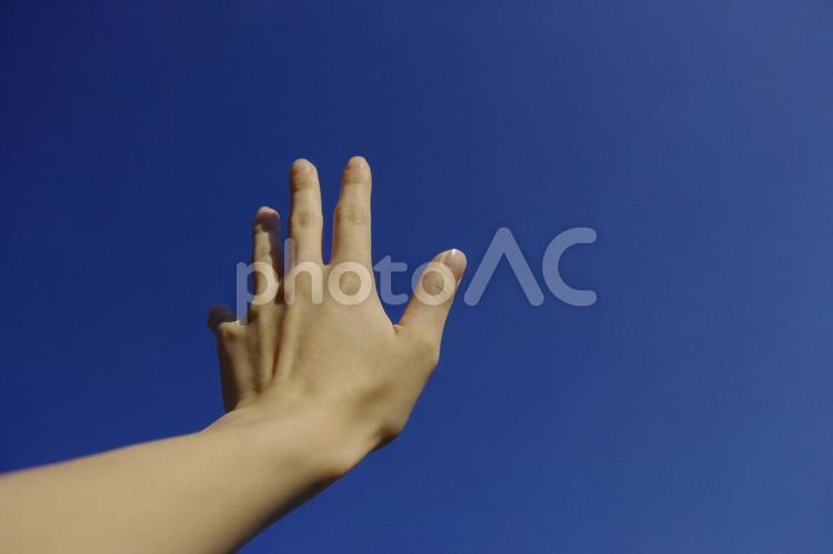 青空に手をのばす 手,女性,空の写真素材