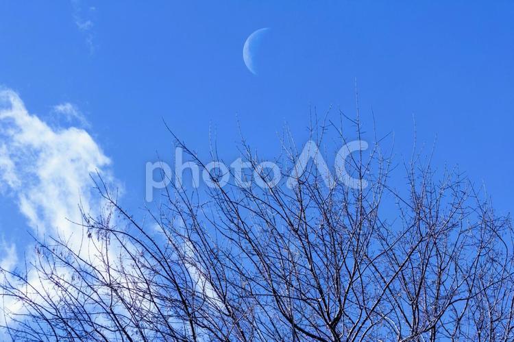 青空と下弦の月 空,背景,空の背景の写真素材