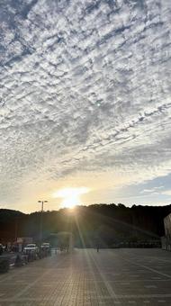 柔らかな光の朝焼けと広がる雲 朝,朝焼け,朝日の写真素材