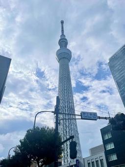 押上駅前からのスカイツリー 東京スカイツリー,東京,観光の写真素材