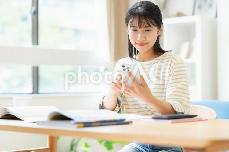 リビングで勉強をする大学生の女性 教育,勉強,女性の写真素材