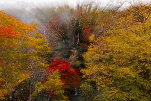 滝見橋の紅葉 滝見橋の紅葉,紅葉,阿寒湖の写真素材