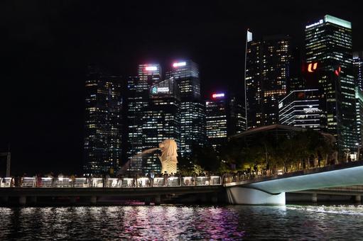 夜景に溶け込むマーライオン 夜景に溶け込むマーライオン シンガポール,マーライオン,夜景の写真素材