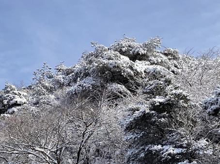 Snow in March, JPG Snow in March, JPG