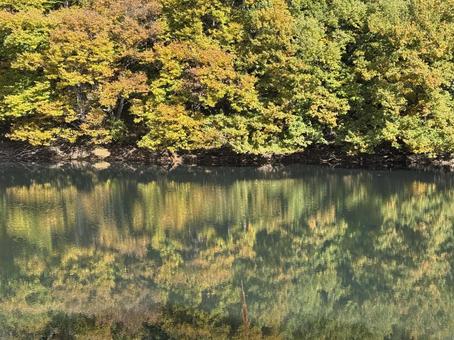 晩秋の大沢の堤の紅葉の写真
