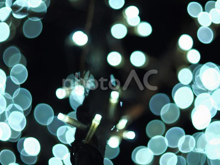 LEDのイルミネーション ぼかし,クリスマス,発光の写真素材