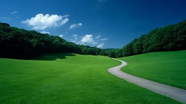 青い空の下に広がる緑豊かな草原と小道 青い空の下に広がる緑豊かな草原と小道の写真