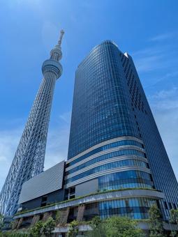 高くそびえる東京スカイツリーとソラマチ 東京スカイツリー,そびえ立つ,電波塔の写真素材