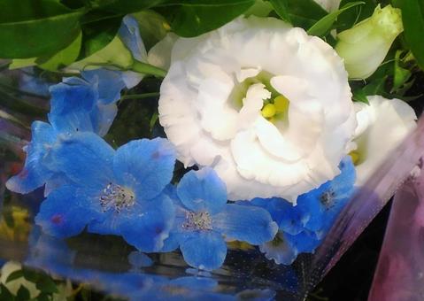 花束 初夏 花束 初夏の写真