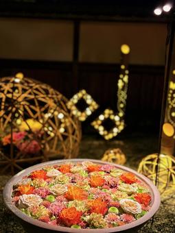 花手水 花手水,足利学校,夜の写真素材