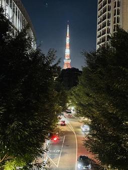 六本木からの夏カラーの東京タワー 六本木からの夏カラーの東京タワーの写真