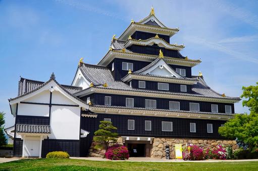岡山城 350 岡山城 350の写真