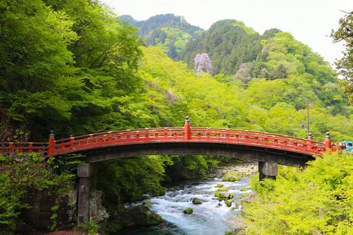 神橋1(栃木県日光市にて) 神橋1(栃木県日光市にて) 神橋,日光,朱塗りの写真素材