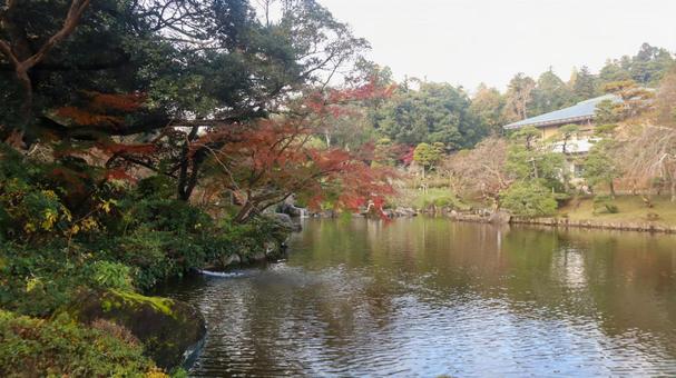 成田山公園の龍智池と紅葉 成田山公園の龍智池と紅葉 成田山公園,龍智池,成田市の写真素材