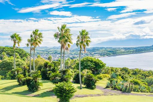 鹿児島　開聞山麓自然公園（トカラ馬牧場） 開聞山麓自然公園,トカラ馬牧場,開聞岳の写真素材
