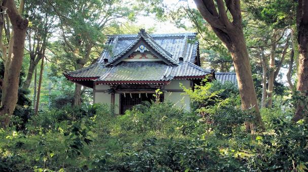 晩秋の御浜岬諸口神社社殿 御浜岬,参道,晩秋の写真素材