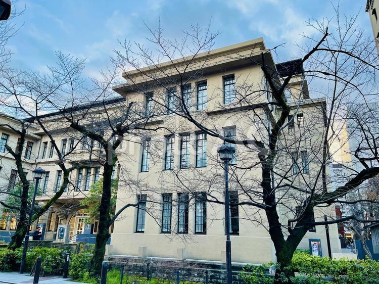街路樹のある通りにある建物 街路樹,道,通りの写真素材