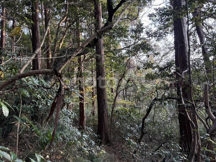 桔梗山　風景 桔梗山,風景,1月の写真素材