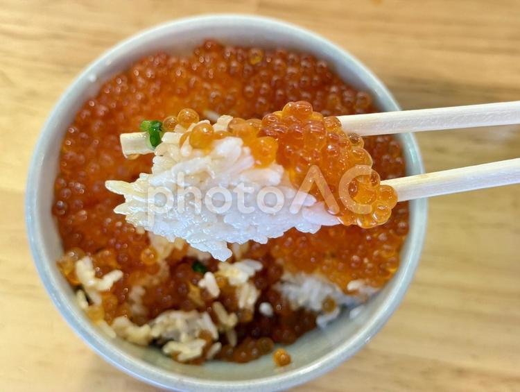 いくら丼　食事風景 いくら丼,どんぶり,カウンターの写真素材