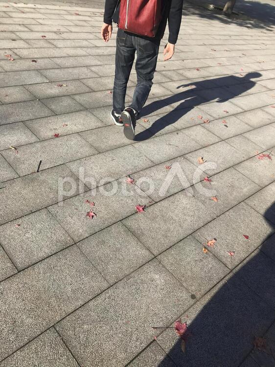 石畳の道を行く 石畳,影,歩くの写真素材