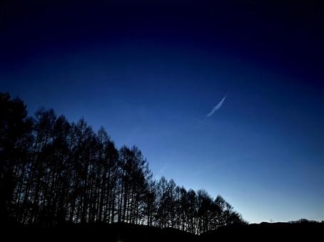 Silhouette of trees at night, silhouette, wood, night mouth, JPG