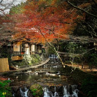 貴船の紅葉 貴船の紅葉 紅葉,自然,絶景の写真素材