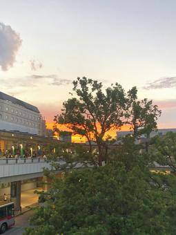 町の夕暮れ 町の夕暮れ 街並み,空,木の写真素材